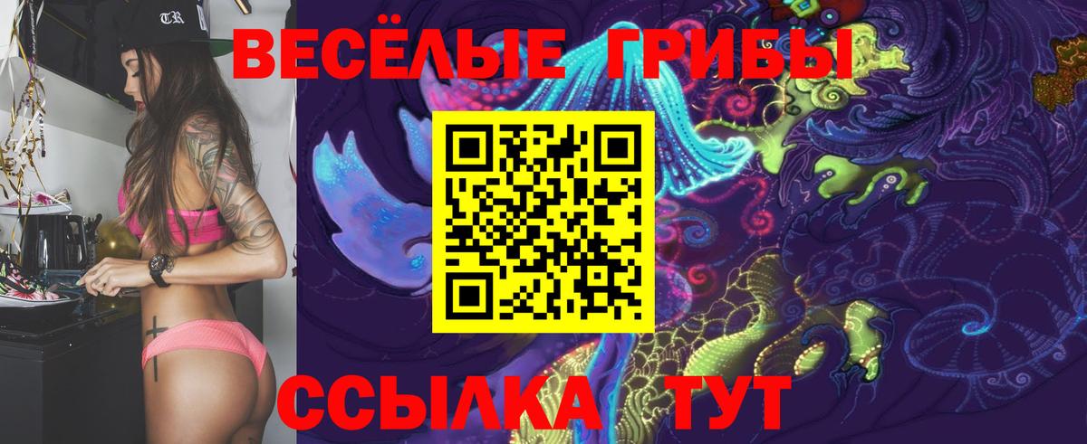 Соль-Илецк  Псилоцибиновые грибы мухоморы  Вход с VPN 
